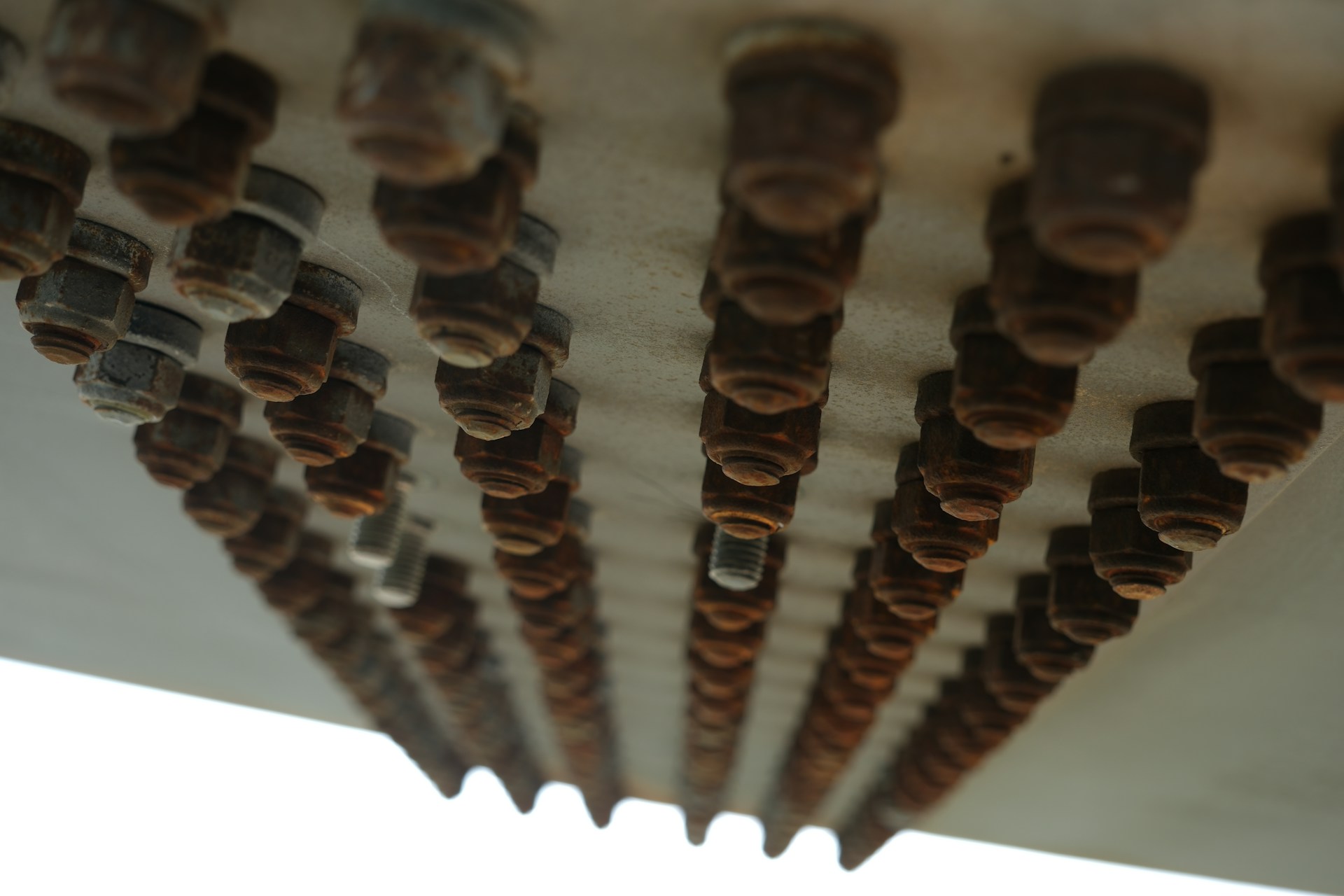 blog image 2