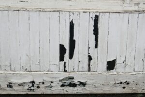 blog image 16