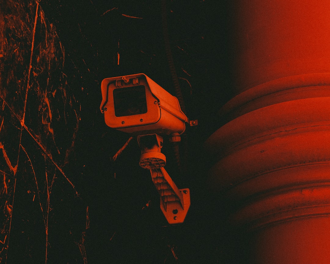 blog image 30